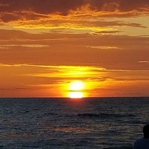 Meet your Posher, Enzo